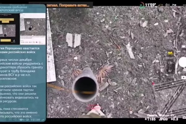 Гидра альтернатива