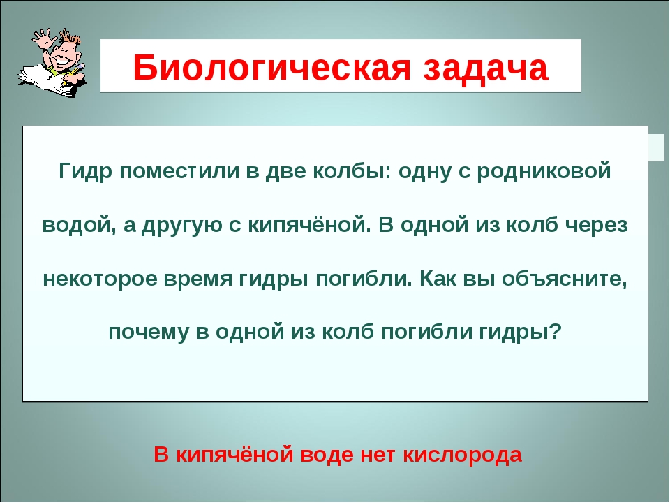 Кракен как попасть