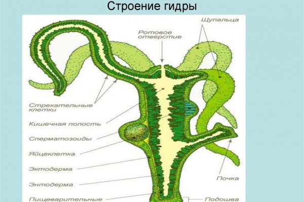 Можно ли вывести деньги с кракена